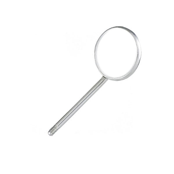 Pomee Mouth Mirror Head Front Surface Simple Stem #5 12 pcs / box